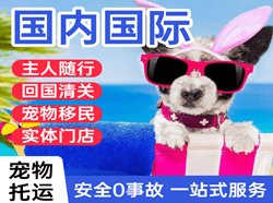 长安机场快运国际宠物托运 【国